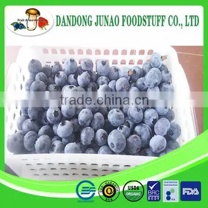 Frozen Fruit Fresh Bulk Iqf Blueberry Fruit thumbnail-1