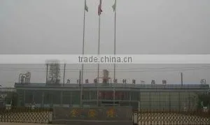 Hebei Golden Sunbird Trading Co., Ltd. company overview - view 2 thumbnail