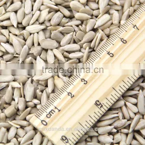Wholesale Organic Sunflower Kernels Confectionery GRADE Direct From China thumbnail-2