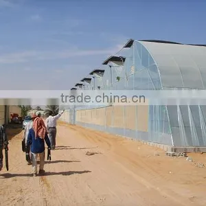 Commercial Greenhouses thumbnail-6