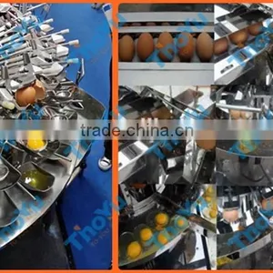 Big Capacity Stainless Steel Egg Processing Machines Made in China thumbnail-1