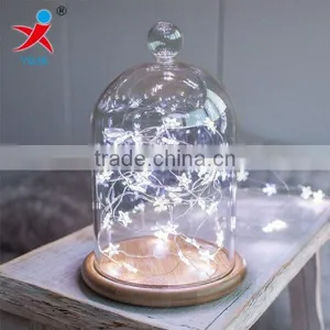 Wholesales Modern Glass Domes Bamboo Base With Led String Lights for Home Decoration thumbnail-1