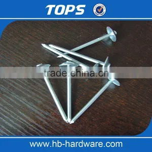 Twisted Shank/ Smooth Shank Umbrella Roofing Nails thumbnail-5