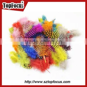 Cheap Dyed Guinea Fowl Wholesale Artificial Feathers for Carnival Costumes thumbnail-5