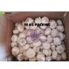 Jinxiang Garlic thumbnail-1