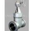 Pressure Seal Gate Valves thumbnail-1