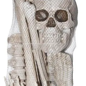Halloween Skeleton 100% Plastic 5 FT Adult Lift Size Hanging Human Skeleton for Halloween Decoration thumbnail-5