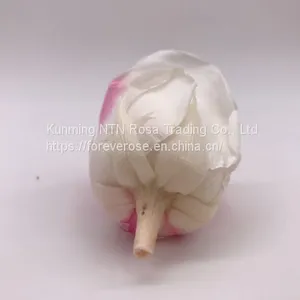 Preserved Rose Preserved Flowers Dried Flowers Birthday Valentine Party Wedding thumbnail-5