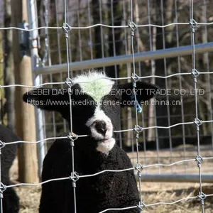 Anti-rust & Anti-corrosion Fixed Knot Cattle Fence thumbnail-5