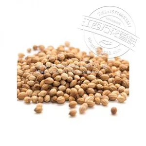 Wholesale of High-quality Cilantro Oil thumbnail-2