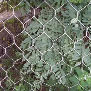 Customized Steel Gabion 2/3/4/5*1*1m Size With Galvanized Iron Wire thumbnail-1