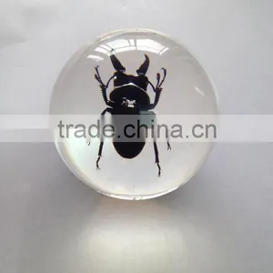 New Design Clear Plastic Christmas Sphere Ball With Real Ember Embedded for Promotional Gift thumbnail-4