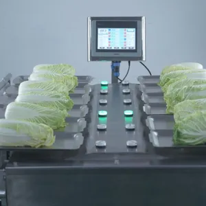 Manual 12 Heads 14 Heads Weighing Scale for Banana Apple Mango Fruit thumbnail-3