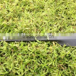 Carbon Dragon Boat Paddle for Sale thumbnail-1