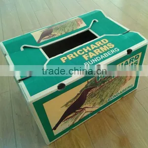 Cardboard Box for Fruit and Vegetable and Vegetable Packaging Box thumbnail-1