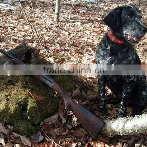 Colorful Hunting Dog Collar in Hunting Season thumbnail-2