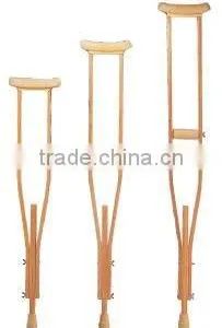 Walking Stick thumbnail-1