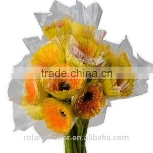 The Neatest Rate Cute Artificial Trumpet Flower Flower Flowers Flower Boxes With 70-80cm Long From Yunnan, China thumbnail-2