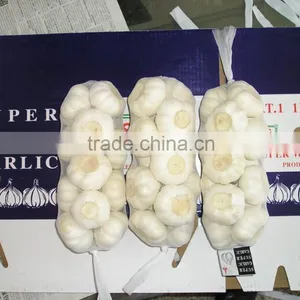 Shangdong Garlic Factory Chinese Garlic Price thumbnail-5