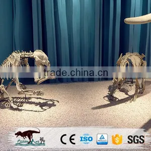 OA3113 Museum Quality Dinosaur Skull Replica Replica Dinosaur Skull thumbnail-4