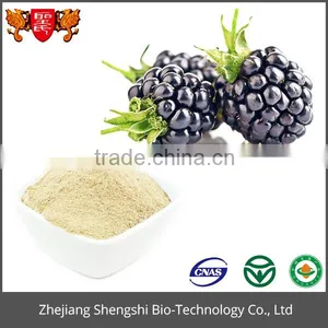 Factory Directly Supply Bilberry Powder thumbnail-2