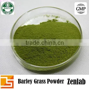 Best Selling Natural Green Barley Grass Powder thumbnail-4