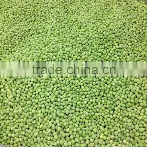 Wholesale Frozen Fresh IQF Green Peas thumbnail-1