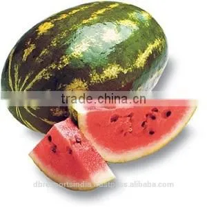 Watermelon Seed Oil Indian thumbnail-1