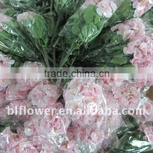 Silk Pink Geranium Blossom thumbnail-1