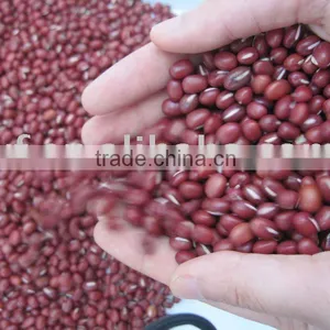 Small Red Bean/azuki Bean thumbnail-1