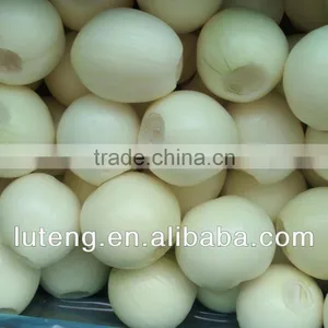 Fresh Yellow Peeled Onion thumbnail-1