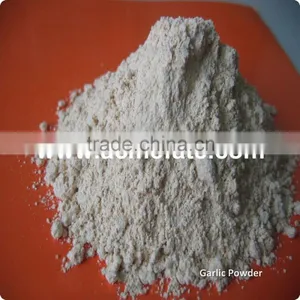 Chinese Hot Products Single Spices Dehydrated Garlic Powder thumbnail-4