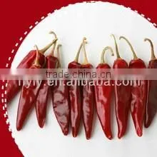 Red Hot Chili Pepper thumbnail-1