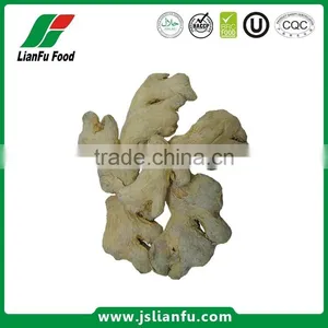Dried Whole Ginger thumbnail-1