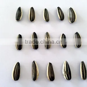 Purity 99.99% Inner Mongolia Sunflower Seeds Price thumbnail-2