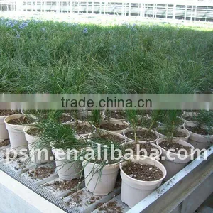 Nursery Plastic Flower Pot Garden Flower Pot thumbnail-2
