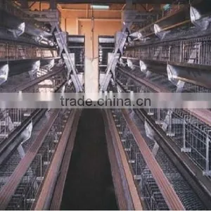 Best Selling Quail Cage For Sale in Quail Farm thumbnail-3