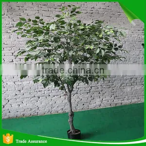 High Quality Lmitation Artificial Ficus Tree thumbnail-1