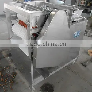 High Quality Hot Sale Peanut Peeler 008613176937205 thumbnail-2