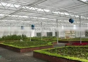 Vegetables Grown Inside Sunshade thumbnail-1