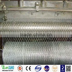 Galvanized Hexagonal Chicken Wire Mesh Bird Cage Material thumbnail-1