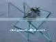 2" Thick Glass With CE and ISO9001 thumbnail-1