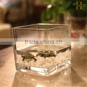 Cheap Clear Cube Glass Vases Wholesale thumbnail-2