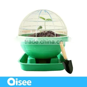 DIY Plant thumbnail-1