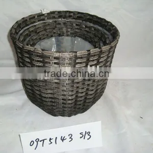 PLASTIC PLANTS thumbnail-1