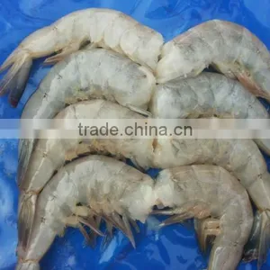 Vannamei Shrimp thumbnail-3