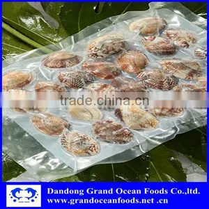 Gray Color Frozen Baby Clam thumbnail-1