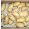 Potato thumbnail-1