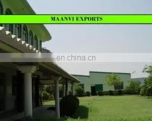 Maanvi Exports company overview - view 1 thumbnail
