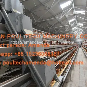 Chicken Farming A Type Battery Hen Chicken Cage & Laying Egg Chicken Coop With Automatic Chicken Cage for 120 Birds in Shed thumbnail-2